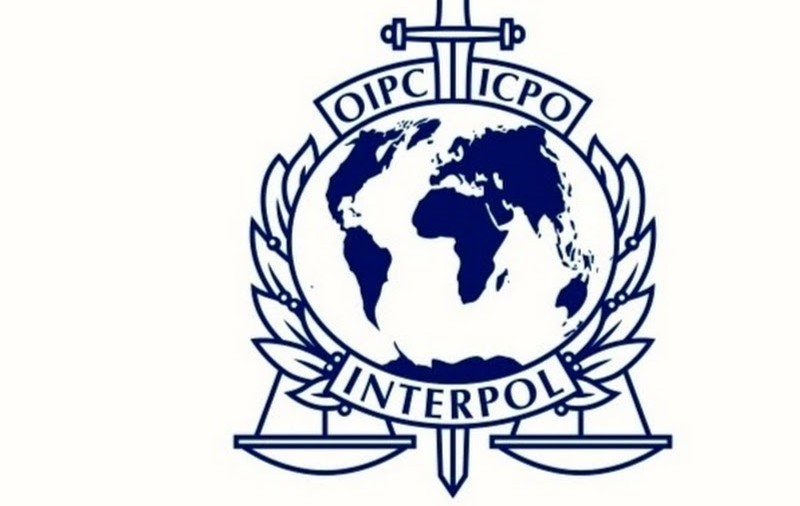 Interpol logo. (The Times of Israel image)
