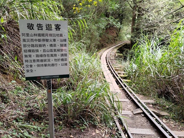 (Alishan Forest Railway and Cultural Heritage Office photo)
