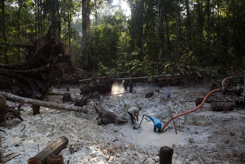 亞馬遜叢林非法採金活動（圖／AP）

