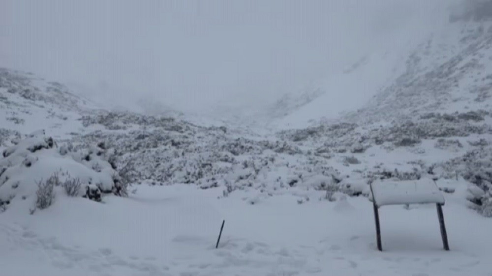 
寒流發威，雪霸國家公園內海拔約3000公尺以上高山地區21日持續降雪，圈谷一帶積雪從50公分增加到80公分，整個雪霸聖稜線都呈現一片雪白...