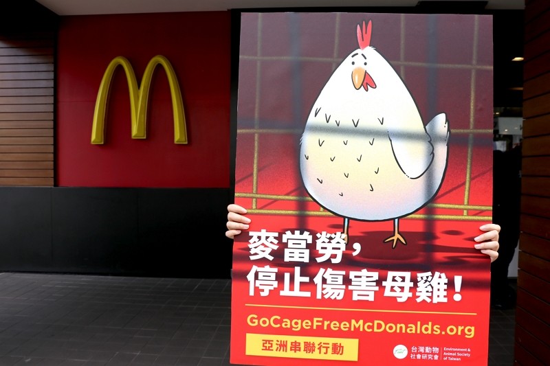 Campaign asking McDonald’s to drop cruel cage eggs in Taiwan. (EAST photo)
