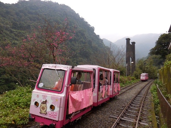 The Wulai Trolley (Forestry Bureau photo)
