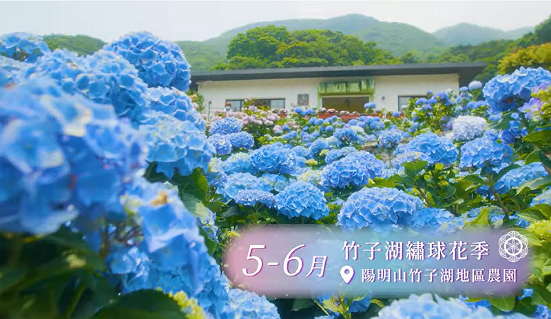 (YouTube, Flowers in Taipei screenshot)
