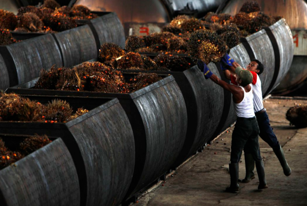 Workers carry oil palm fruits to containers on their way into processing plants at PT Perkebunan Nusantara VIII, a state-owned palm oil factory in Mal...