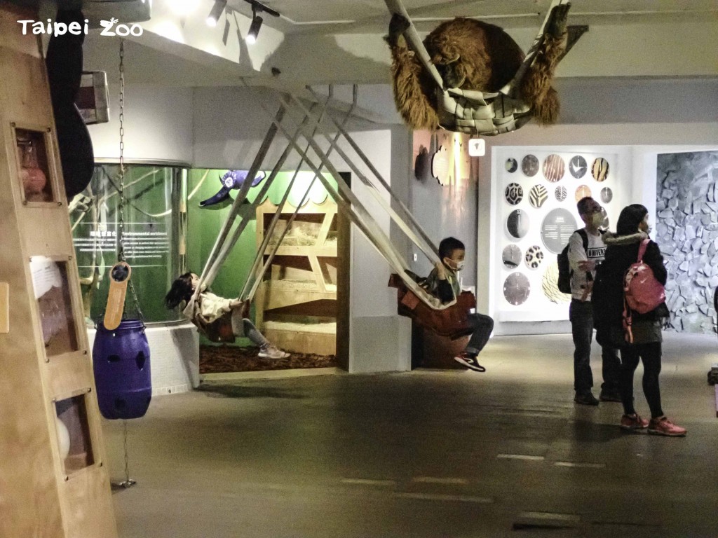 動物福祉小站希望以實體展示及體驗與方式，讓民眾了解動物園在維護動物福祉上的努力。(照片來源：Taipei Zoo)
