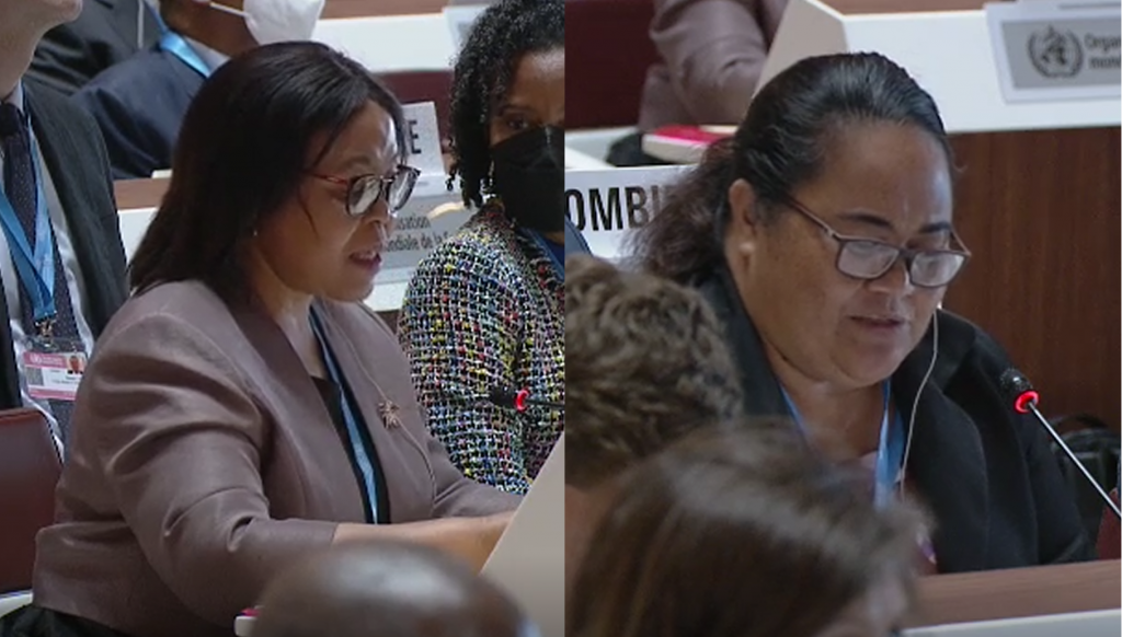 The representatives of Eswatini and Tuvalu call for the WHA to include Taiwan. (WHO screenshot)
