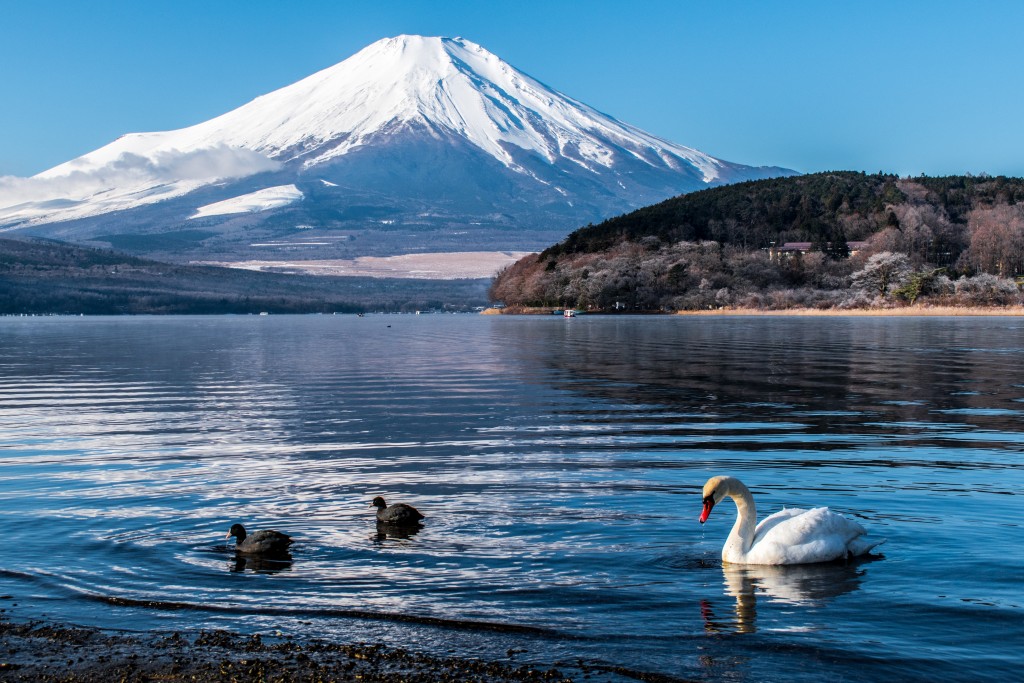 File photo of Mount Fuji. (Pexels, Md Farhabi Helal photo)
