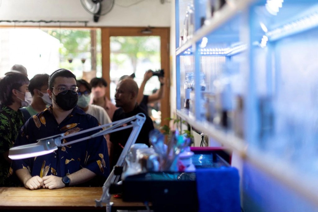 泰國合法化大麻後，民眾在販售大麻食品的店家裡排隊、拍照。（圖/路透社）
