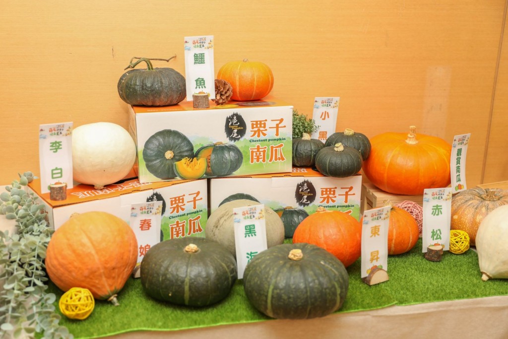 Pumpkins grown in Tamsui, New Taipei City, are showcased at a joint promotion event on June 13, 2022.  
