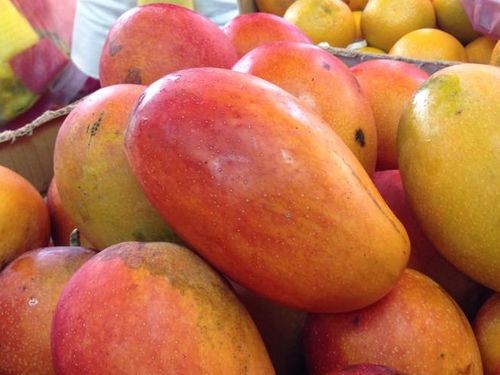 Macau media reports say mangoes from Taiwan tested positive for COVID. 
