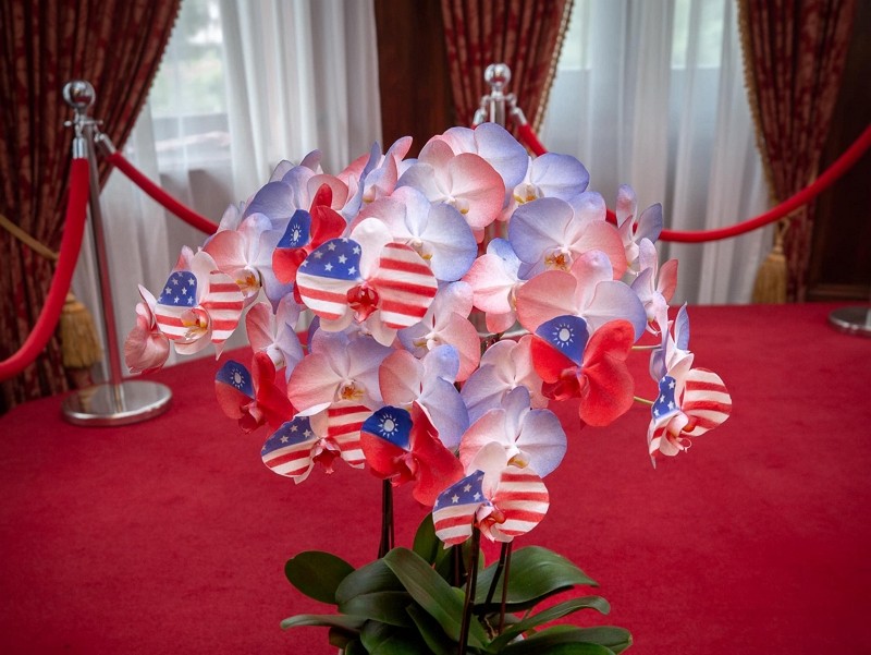 噴染美國國旗的台灣蘭花（圖／蔡英文臉書）
