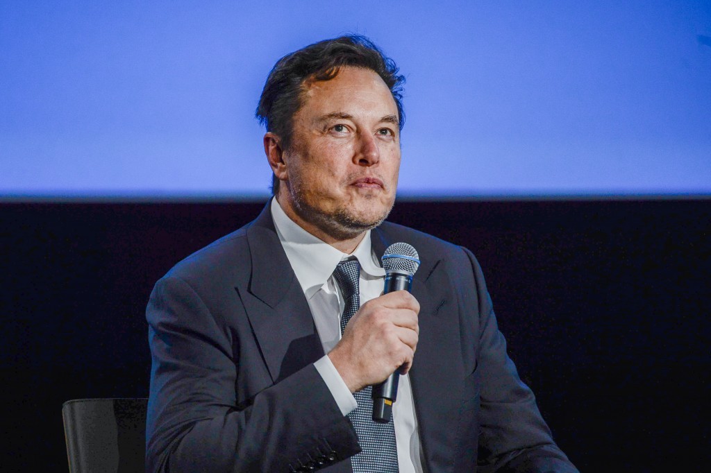 File photo of Tesla Founder Elon Musk. 
