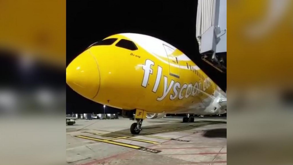 Left nose wheel seen missing from Scoot aircraft. (TIAC photo)
