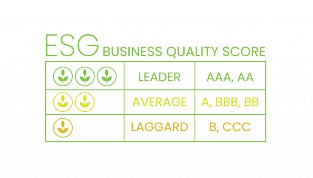 ESG Scoring Table. (iStock image)
