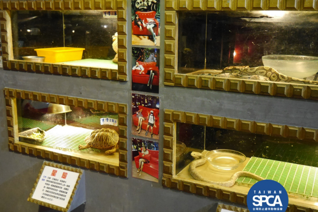 A photo taken by the SPCA shows some of the snake enclosures. (Facebook, Taiwan SPCA photo)
