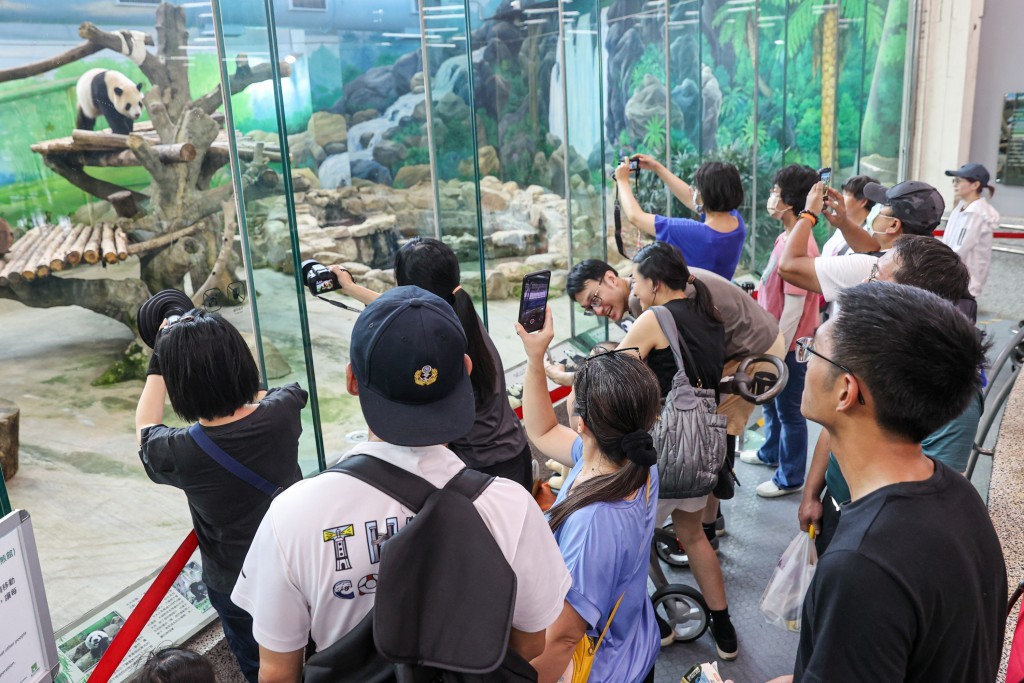 台北市立動物園門票凍漲26年，預計最快明年2月1日調漲票價。
