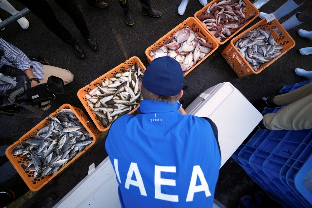2023年10月19日，IAEA專家在日本東北久之濱港採集魚獲送驗。（圖／路透社Eugene Hoshiko）
