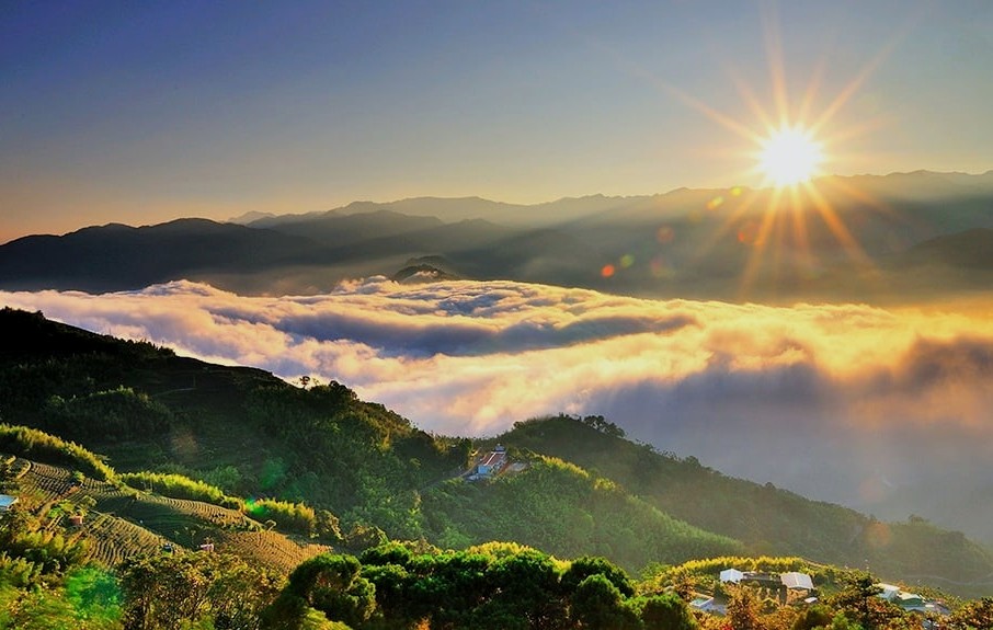 Alishan in Taiwan. (Forestry and Nature Conservation Agency photo)
