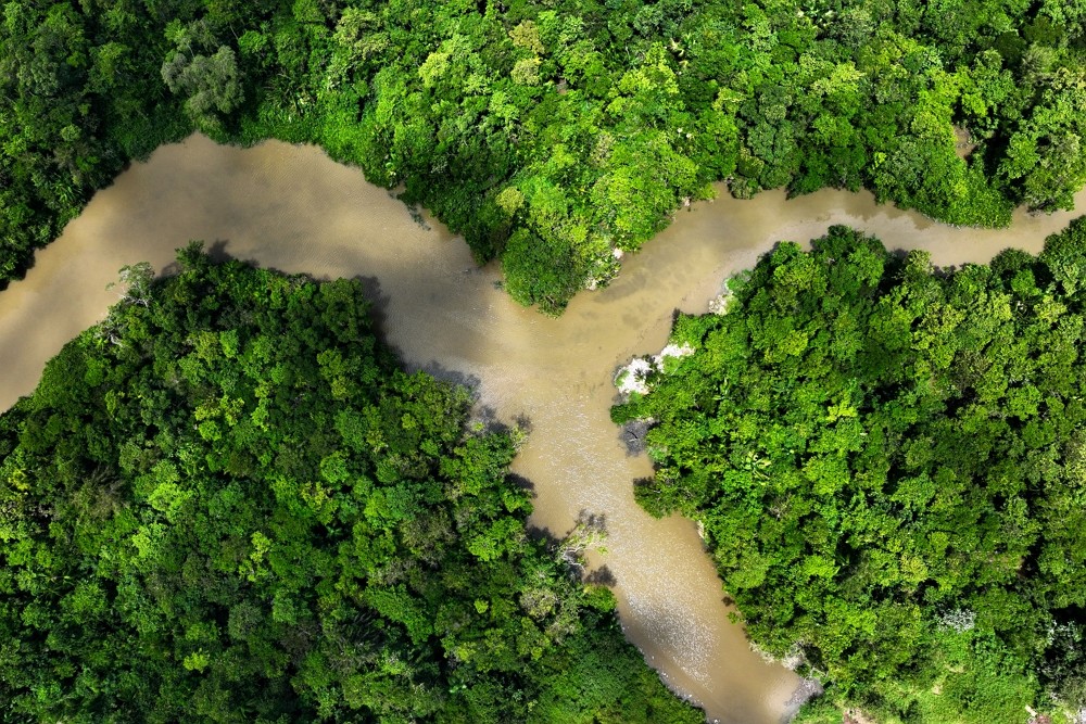2023年8月5日，巴西亞馬遜雨林。（圖／路透社Ueslei Marcelino）
