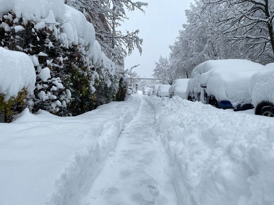 2023年12月2日，大雪襲擊德國巴伐利亞邦及其首都慕尼黑後，積雪還覆蓋停在路邊的車輛。（圖／路透社）
