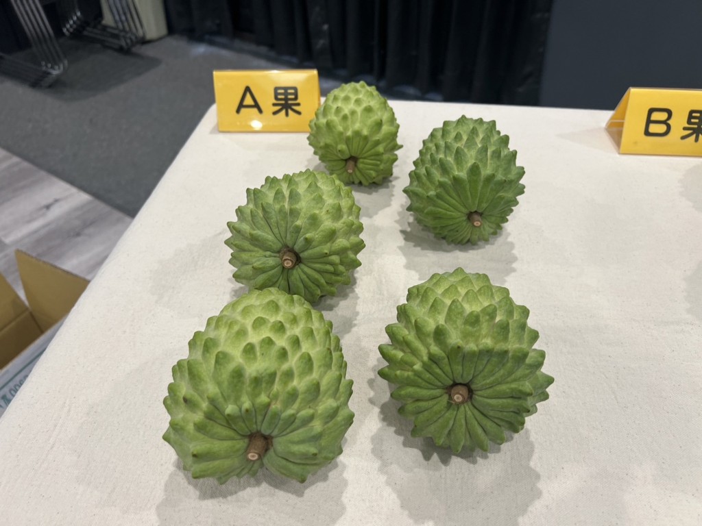 Taitung County resumes the export of custard apples to China. 
