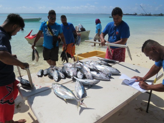 (Facebook, Tuvalu Fisheries Department photo)
