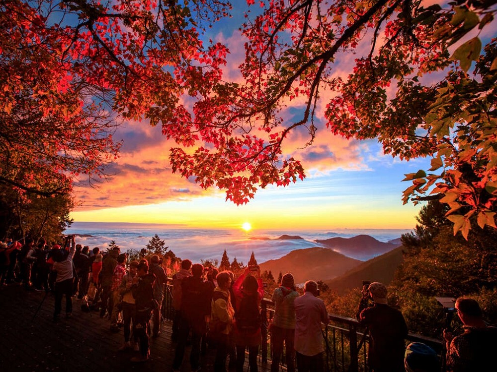 Gold prize winner at an Alishan photography contest, "Red Maples and Cloud Seas on Alishan." (Alishan National Scenic Area Headquarters phot...