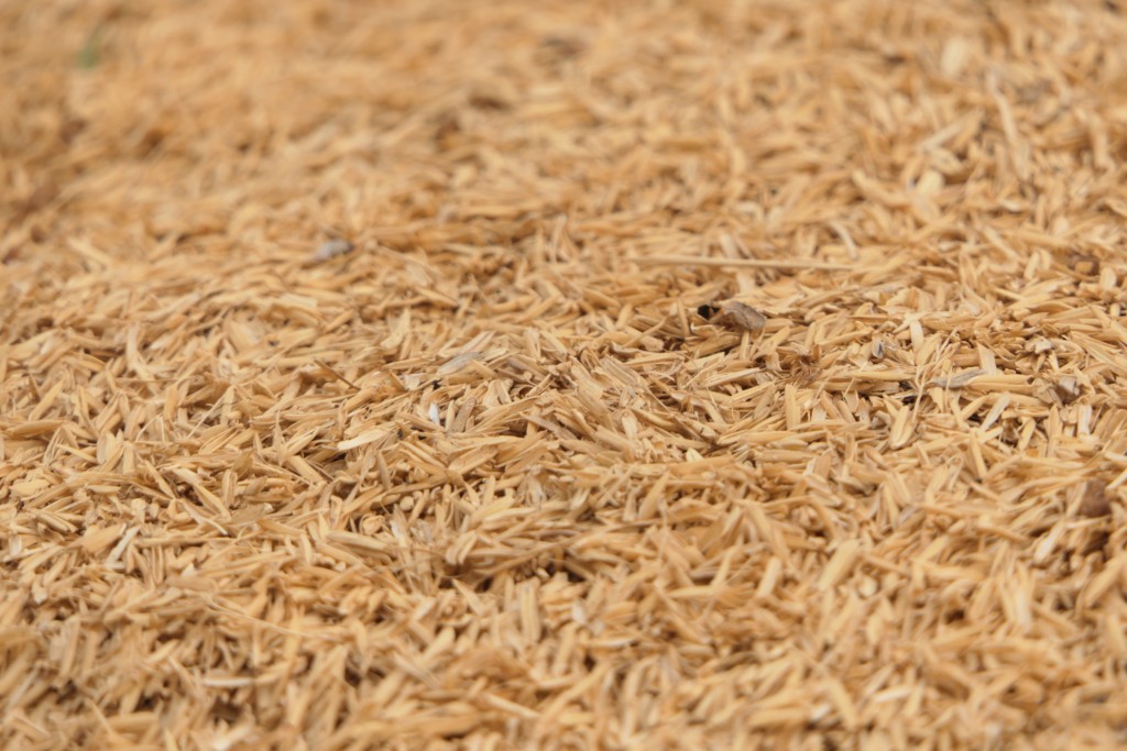 有益心血管健康的小麥麩皮竟會對骨骼健康造成負面影響。（圖／unsplash）

