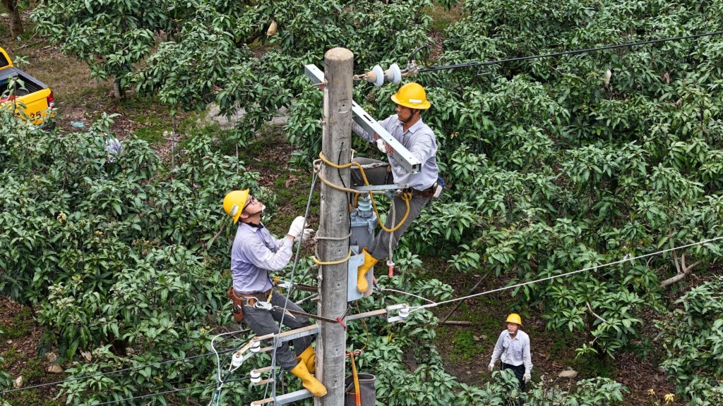 Taipower staff work to upgrade powerlines in Kaohsiung on Wednesday. (CNA photo)

