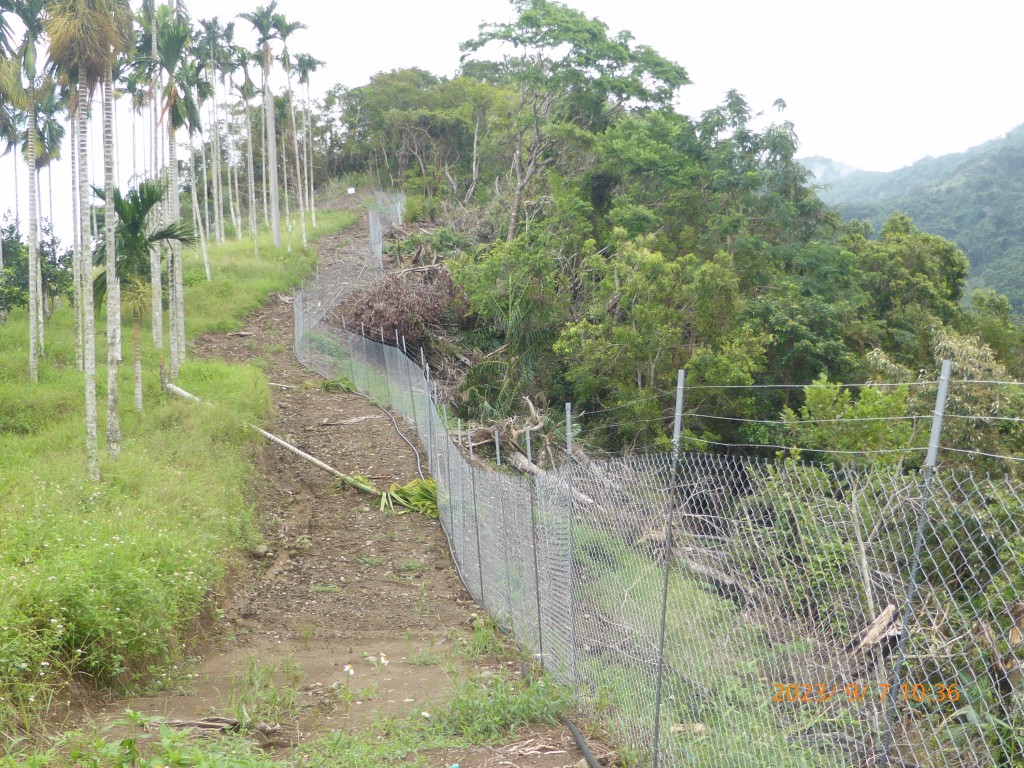 A power line similar to the one where the death occured is shown along the bottom of a fence. (CNA photo)
