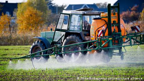 Environmentalists worry that glyphosate might harm nearby plants such as wildflowers