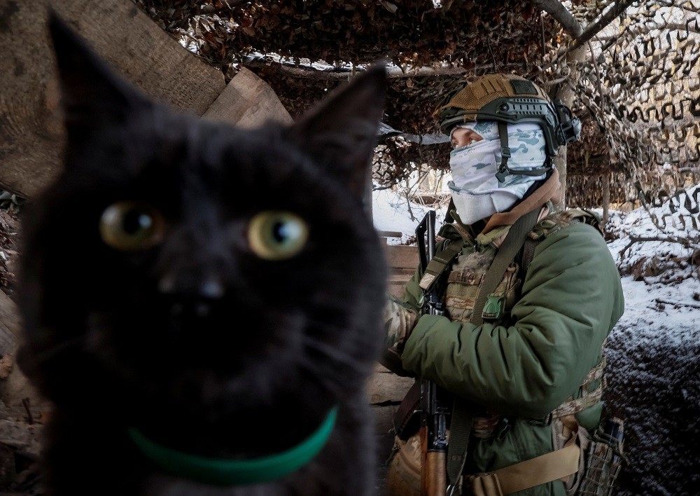 2024年1月20日，一名烏克蘭士兵與一隻貓在烏克蘭蘇梅地區的烏俄邊境前線（圖／路透社GLEB GARANICH）
