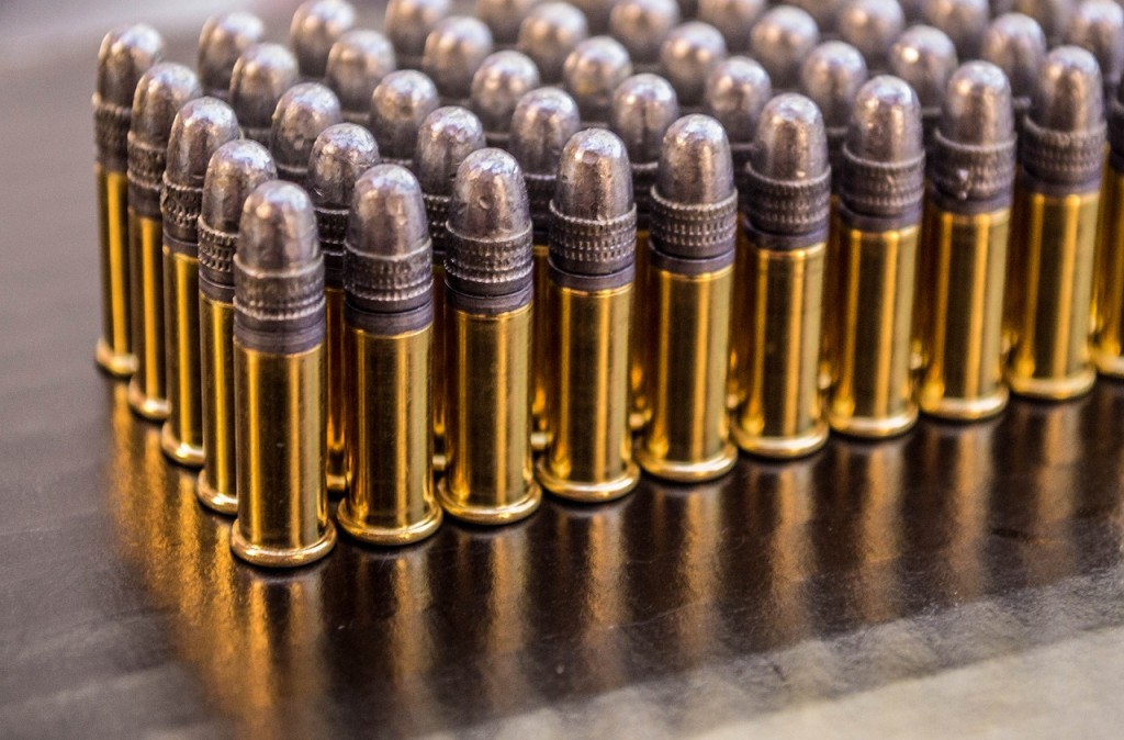 US man was arrested in January 2023 for accidentally bringing 50 .22 bullets into the country. (Pixabay photo) 
