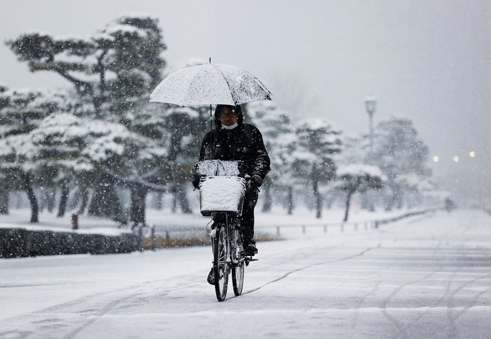 2022年1月6日，一名男子在下著雪的東京騎腳踏車（圖／路透社Issei Kato）
