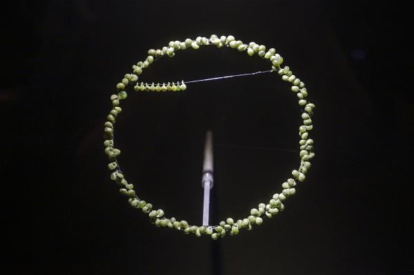 A decorative jade circlet. (MOFA file photo)
