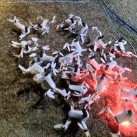 Drones fall from sky during Taiwan Lantern Festival performance