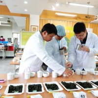 台灣首屆全國有機茶評鑑出爐　農糧署將協助經營者開拓外銷管道