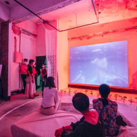 台灣國際錄像藝術展催眠探潛意識　首創雙展場徵件數量歷屆之最