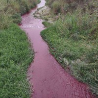 Central Taiwan factory shut down for turning creek into ‘Red Danube’