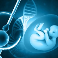 寶寶遺傳基因缺陷重症　面對晚婚晚育時代　醫：胚胎基因檢查是關鍵