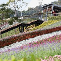 How to enjoy Taipei’s floral bloom this season