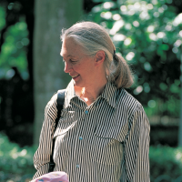 Jane Goodall to establish Sustainability Academy in Taipei
