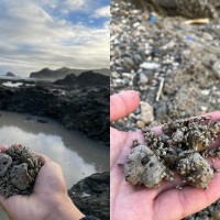Pumice from Japanese volcanic eruption reaches Taiwan's Green Island