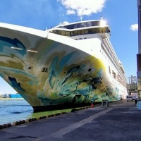 Taiwan urged to resume domestic cruises