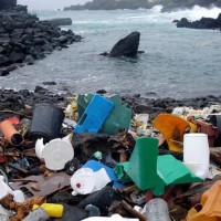 【發現新大陸】 海洋生物寄居塑膠垃圾  漂洋過海釀危機