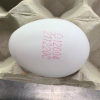 強化蛋品生產管理！台灣2022年1月1日啟動　洗選鮮蛋逐顆噴印標示