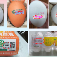 New egg printing rule in Taiwan reinforces traceability