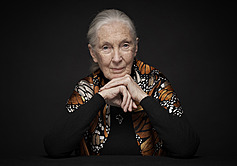 COP26 Advocate Jane Goodall asks everyone to make world better