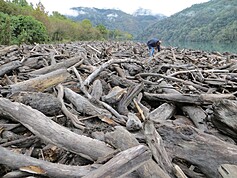 Picking up driftwood in some areas no longer crime in Taiwan
