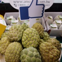 Taiwan bans frozen sugar apples from China